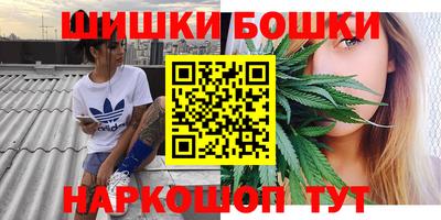 индика Рязань