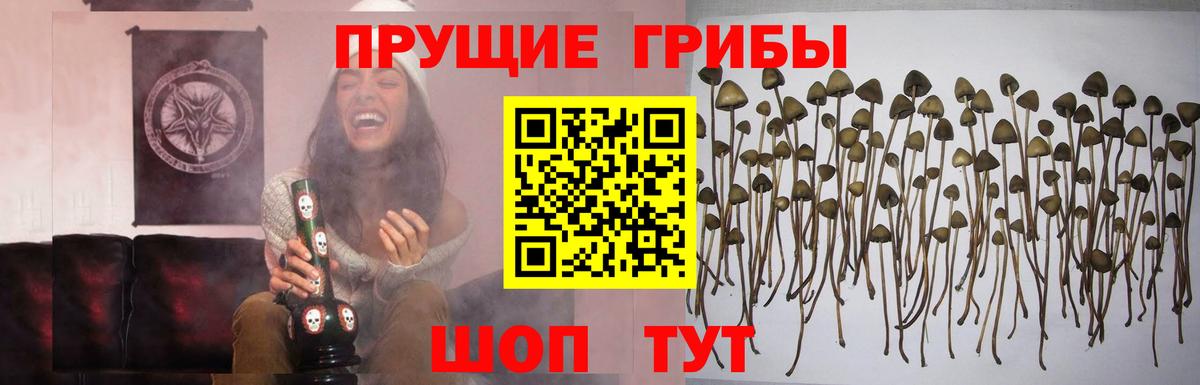 Галлюциногенные грибы мицелий  Вход с VPN  Прохладный 